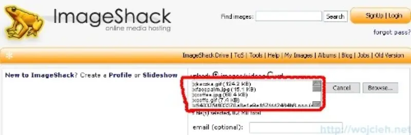 Wyselekcjonowane zdjęcia